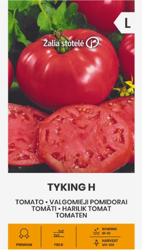 Pomidor Tyking H odmiana bardzo plenna typu beef nasiona Žalia stotelė sklep rajogrodnika
